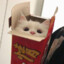 美味猫堡