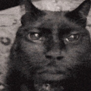 Sleepwalker's avatar