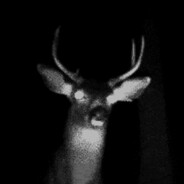 Pr3y_Animal