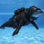 The Loaded Dolphin