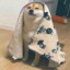 dogwithblanket