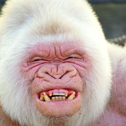 ۷ąŋıƖƖą ɠơཞıƖƖą