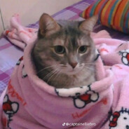 biggi-small-dick avatar