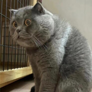 穿一身瓦萨奇怎么打