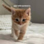SonyREVikson