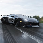 TheCarDriver