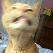 你咋被刀了小兄弟