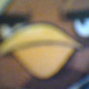 birdup