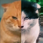 KuroCat"黑魔導士"