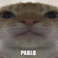 pablo