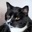 Avatar of Bill Eggroll