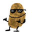 BOTATO