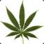 DrugLord