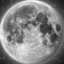 moonfinite