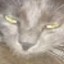 VAC BANNED