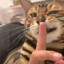 Káspi