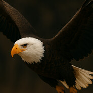 flyhigh - steam id 76561199239787387