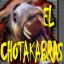 EL chotakabras