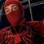 O Espetacular Aranha-Humana