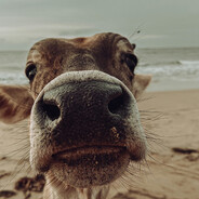 A$u     .♥. - steam id 76561198937111564