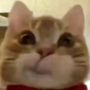 总有开心的那一天