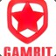 GAMBIT