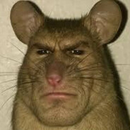 Zeng avatar