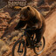 Kongressbär ツ ʕ•ᴥ•ʔ