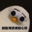若智海鸥