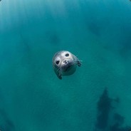 想去老特拉福德