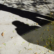 专干bilbil 端木良