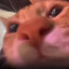 Avatar of player Dokko