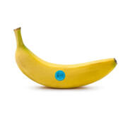 G-man is a banana - steam id 76561197960742457
