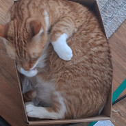 Jamtoast
