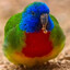 𝘍𝘳𝘰𝘴𝘵🐤