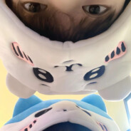 荷兰猪想去喀喀湖喝水