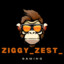 Ziggy_zest_