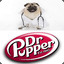 Dr. Pupper