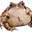BeefToad700