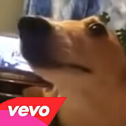 LalaDogVEVO