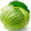 cabbage
