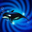 orvilletheorca