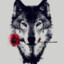 mr_MAFF