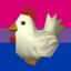 Cucco