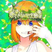 noelh