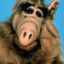 Fart Garfunkel