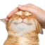 Carl