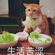 吃不起饭孙大脸