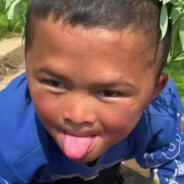 想在惠州养头牛