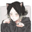 joker cat
